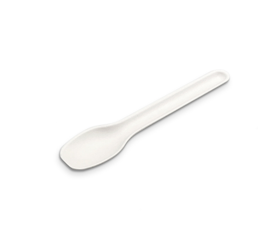 Sugarcane Teaspoon Carton/1000