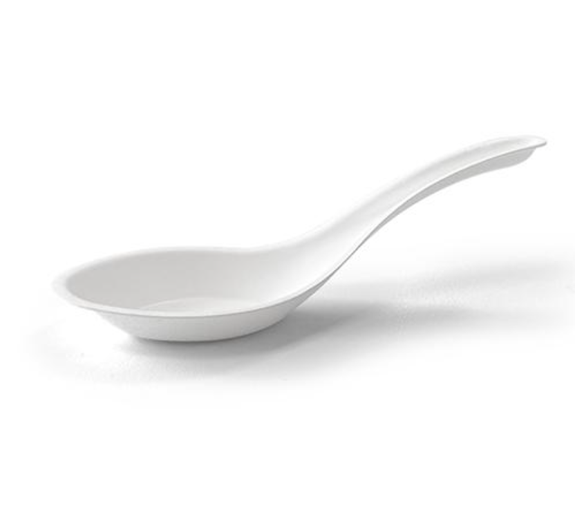 Sugarcane Soup Spoon (Carton of 1000)