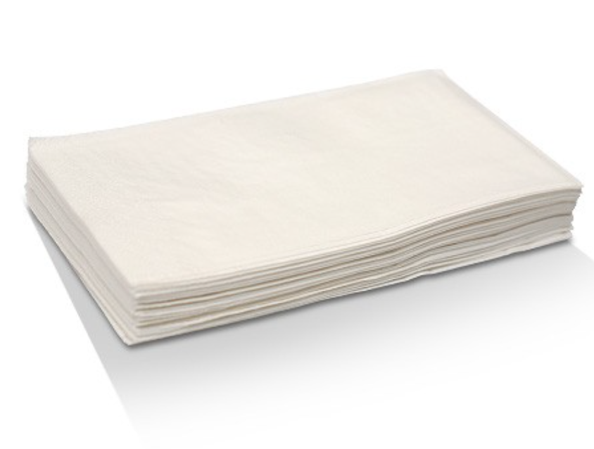 White Napkin 2Ply Dinner GT Fold Carton/1000