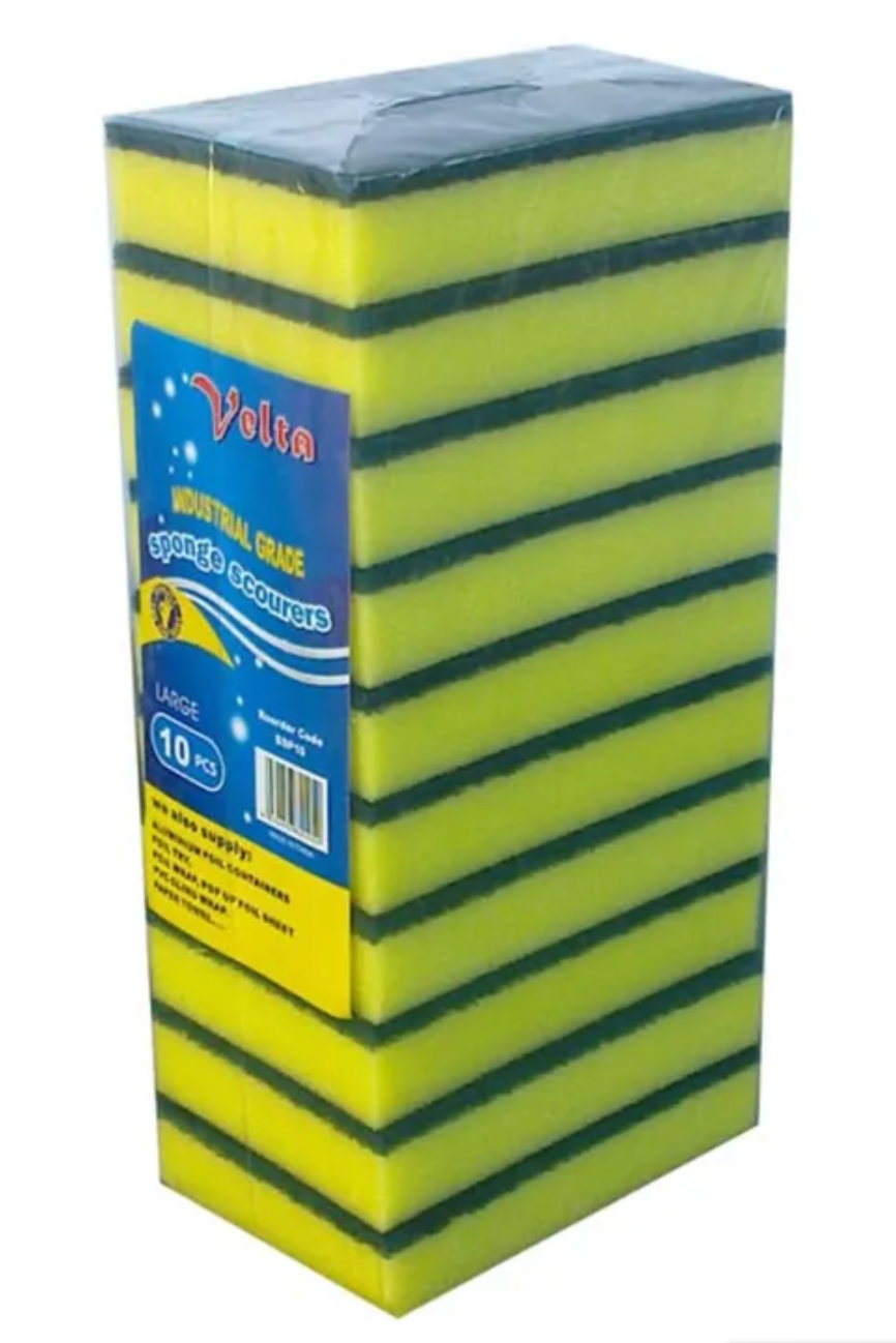 Sponge Scourer Pack/10