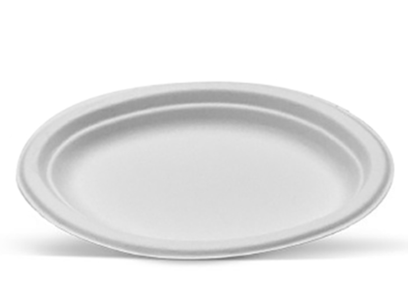 White Sugarcane Oval Plate Large Carton/500
