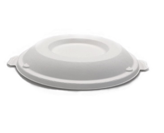 Sugarcane Lid (Carton of 500)