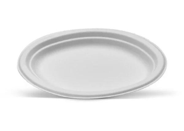 White Sugarcane Oval Plate Small Carton/500