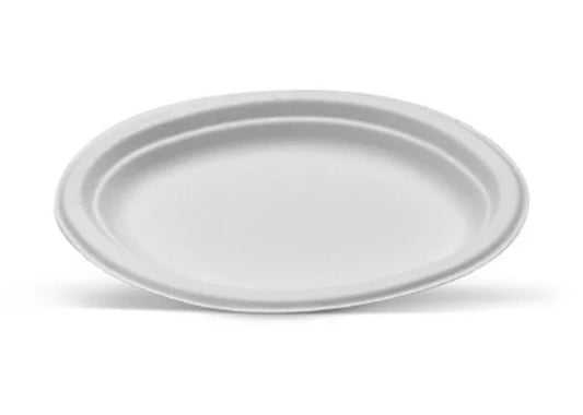 White Sugarcane Oval Plate Small Carton/500
